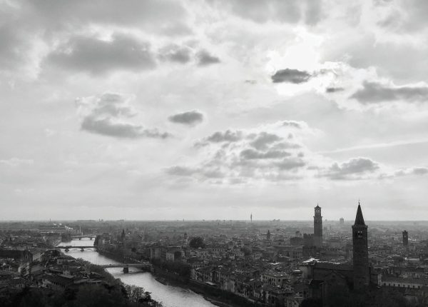 IMG_2517~22